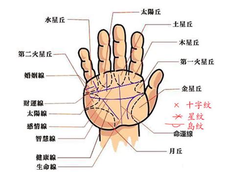 掌心有方格紋|手掌紋路圖解大全